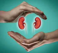 World Kidney Day: Drinking 8 Glasses Of Water Flushes Toxins And Other Myths About Renal Health