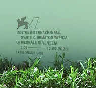 77th Venice International Film Festival, a success?
