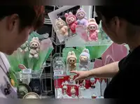 Lafufus toy with fans; fake it till they almost make it