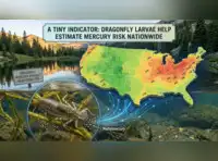 internationalnews image 1