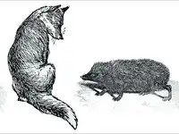 opinion image 3