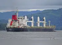 Houthis terrorize sailors with fresh attacks on ships in Red Sea