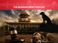 Morning Brief Podcast: Why Doesn't India Know What To Do With Its Stray Dogs?