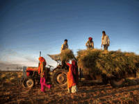 Forget loan waivers, credit this money to all the BPL family accounts