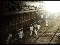 opinion image 2