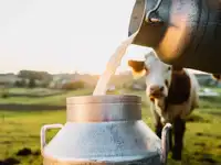 Century! Mumbai milk prices set to jump from Sep 1