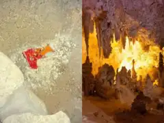 Stranger dropped a bag of Cheetos in America's largest caves, disrupting an entire ecosystem. Developed fungi and ended up attracting flies and insects