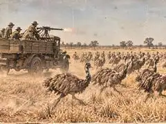 In 1932, an army of soldiers fought 20,000 emus with machine guns. The flightless birds defeated the military operation, two times