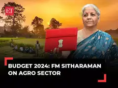 BudgET 2024: From 'Nano DAP' to 'Lakhpati Didi', FM Sitharaman's announcements for agro sector