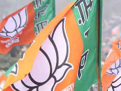 BJP rebels may split votes in Vaghodia