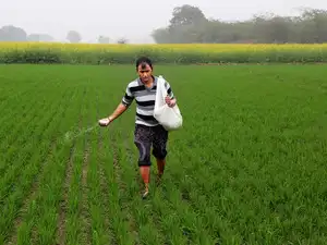Dependent on China, drowning in red tape: How a broken policy regime is killing India’s small fertiliser manufacturers
