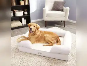 Image for Best Dog Bed for Maximum Comfort and Support for Your Furry Friend
