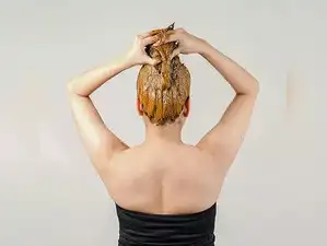 Image for Best Henna for Hair: Top 10 Picks to help you achieve Natural Colour and Healthy Shine