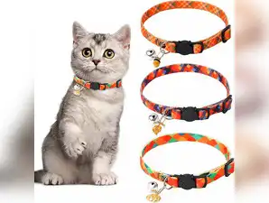 Image for Best cat collars for your furry friend - Comfort, Style and Safety Guaranteed!