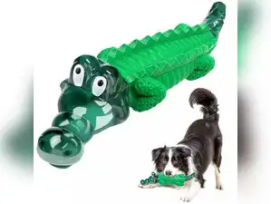 Image for Best dog toys: Engaging options for your furry friend