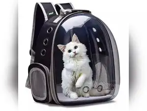 Image for Best Crates for Cats: Safe and Comfortable Travel Companions