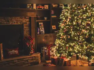 Image for Christmas Decor Under 2000: Premium Collection of Ornaments, Trees, Wreaths and more