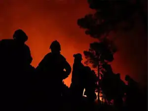 Why are wildfires disrupting Spain's high-speed rail? Why are wildfires disrupting Spain's high-speed rail?