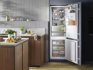 Image for Best Electrolux refrigerators: Stylish, efficient, and reliable cooling solutions for every home