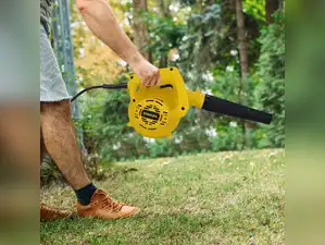 Image for Best Leaf Blowers of 2024: Lightweight, Durable, and Budget-Friendly Options