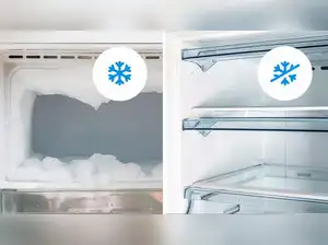 Image for 10 Best Frost Free Refrigerators for No Annoying Ice Build-Up (2024)