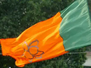 BJP: The dominant colour on the catwalk did give away the Indian voter ...