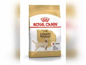 Image for Royal Canin Dog Food for Different Breeds: Tailor-Made Nutrition for Your Pet