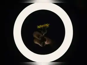 Image for Best Ring Lights in India: Elevate Your Content Creation to Next Level