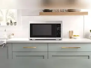 Image for Best 25 L microwave ovens: Top picks for smart and efficient cooking