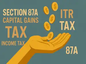Image for No income tax rebate under Section 87A even if income is less than Rs 7 Lakh under new tax regime in this situation, point out CAs