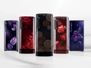 Image for Best Single Door Refrigerators for efficient and eco-friendly cooling (June 2024)