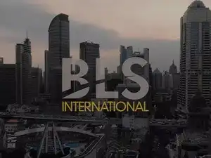 BLS International plans to invest ₹2,500 cr to expand into new markets ...