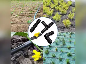 Image for 10 Best Drip Irrigation Kits for Efficient Watering: Grow Green