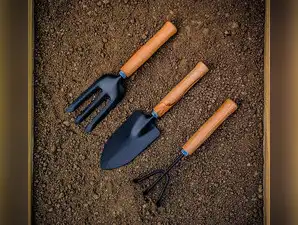 Image for Best and Essential Gardening Tools for Every Task