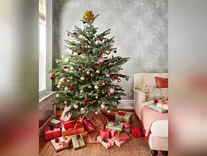 Image for Best Christmas trees to brighten your home and spread joy this season