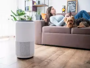 Image for Best air purifiers for cleaner, healthier indoor air