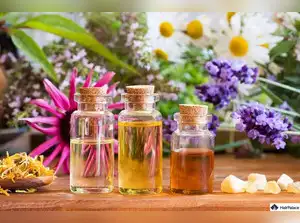 Image for Best essential oils for skincare, haircare, and aromatherapy wellness