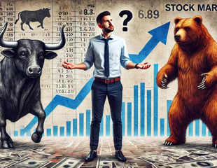 Will bull run continue or is market crash imminent?