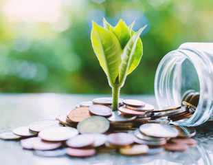 Best short duration mutual funds to invest in April 2024
