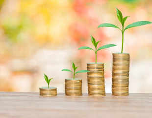 3 mutual fund NFOs to open for subscription this week