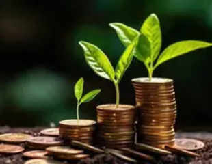 5 smallcap MFs turn Rs 10,000 monthly SIP to over Rs 1 crore in 15 years