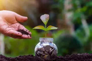 MF Query: 50 years & planning retirement? 1.1 lakh monthly SIP can grow to Rs 3 cr in 11 years