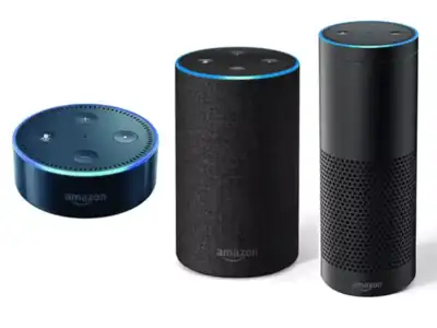 amazon echo dot is offline