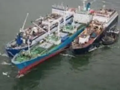 Shipping Crew Latest News Videos Photos About Shipping Crew
