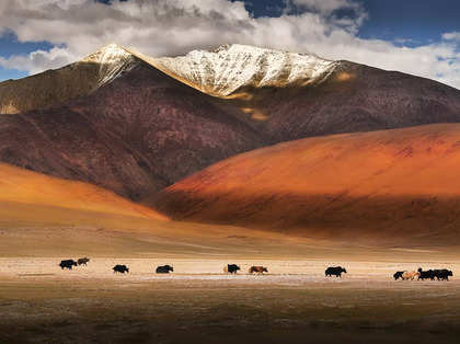 A treasure trove of renewable energy is hiding beneath Ladakh’s cold deserts