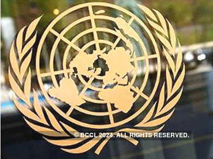 Revise royalty definition to include software payments by subsidiaries to parent: Developing countries tell UN tax committee