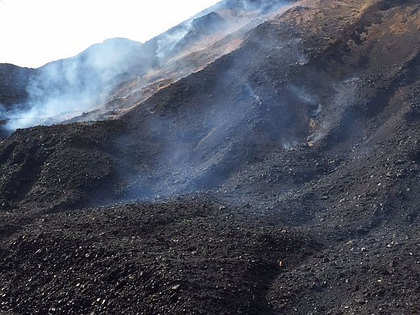 Human right violations at mines run by Coal India: Amnesty International