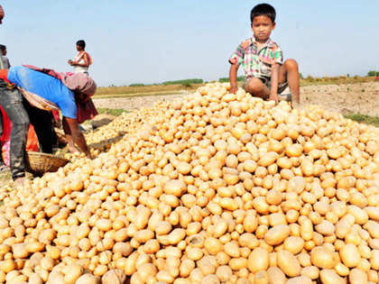 Assam aims to be self-sufficient in potato output by 2019-20