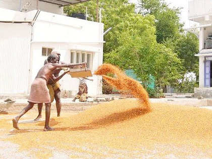 Fall in domestic production makes pulses costlier by up to 64%