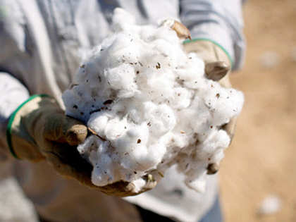 Record cotton crop of 406 lakh bales estimated for 2014-15 season
